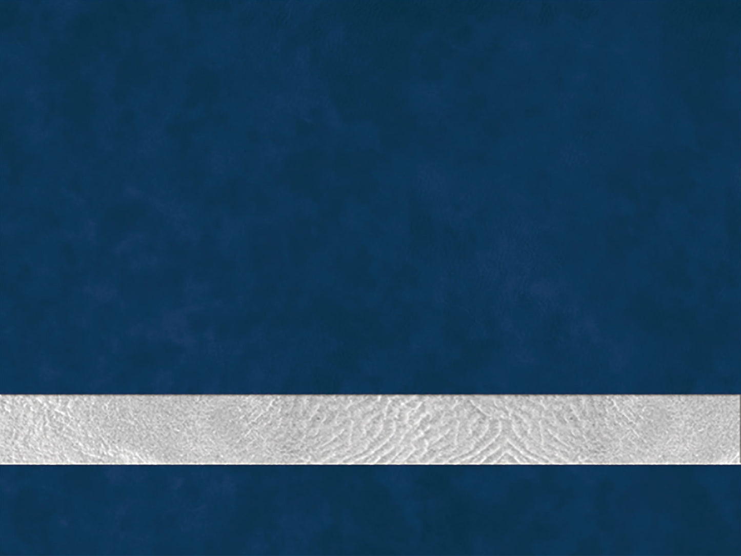 Semper Reformanda Cigar Case