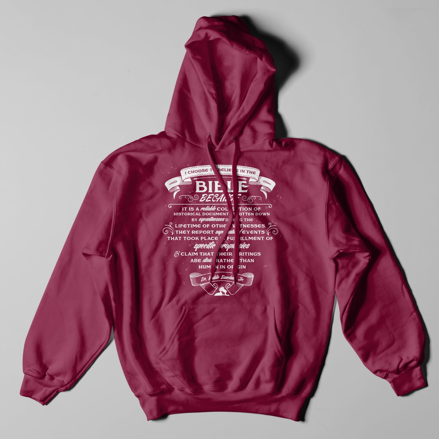 Why I Believe The Bible - Hoodie