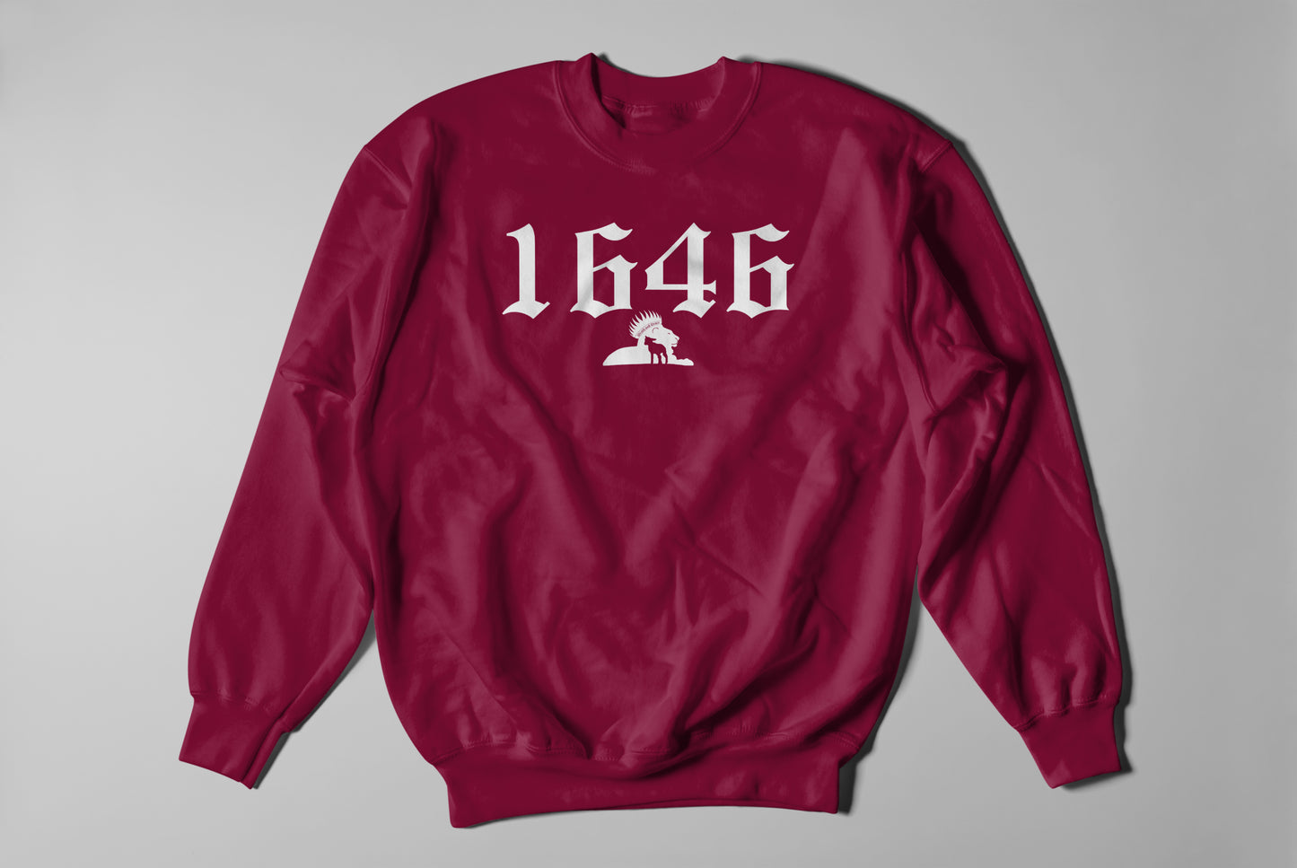 1646 - Sweatshirt