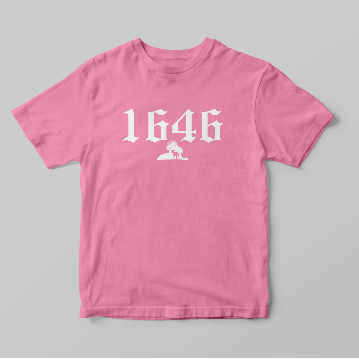 1646 - Women T-Shirt