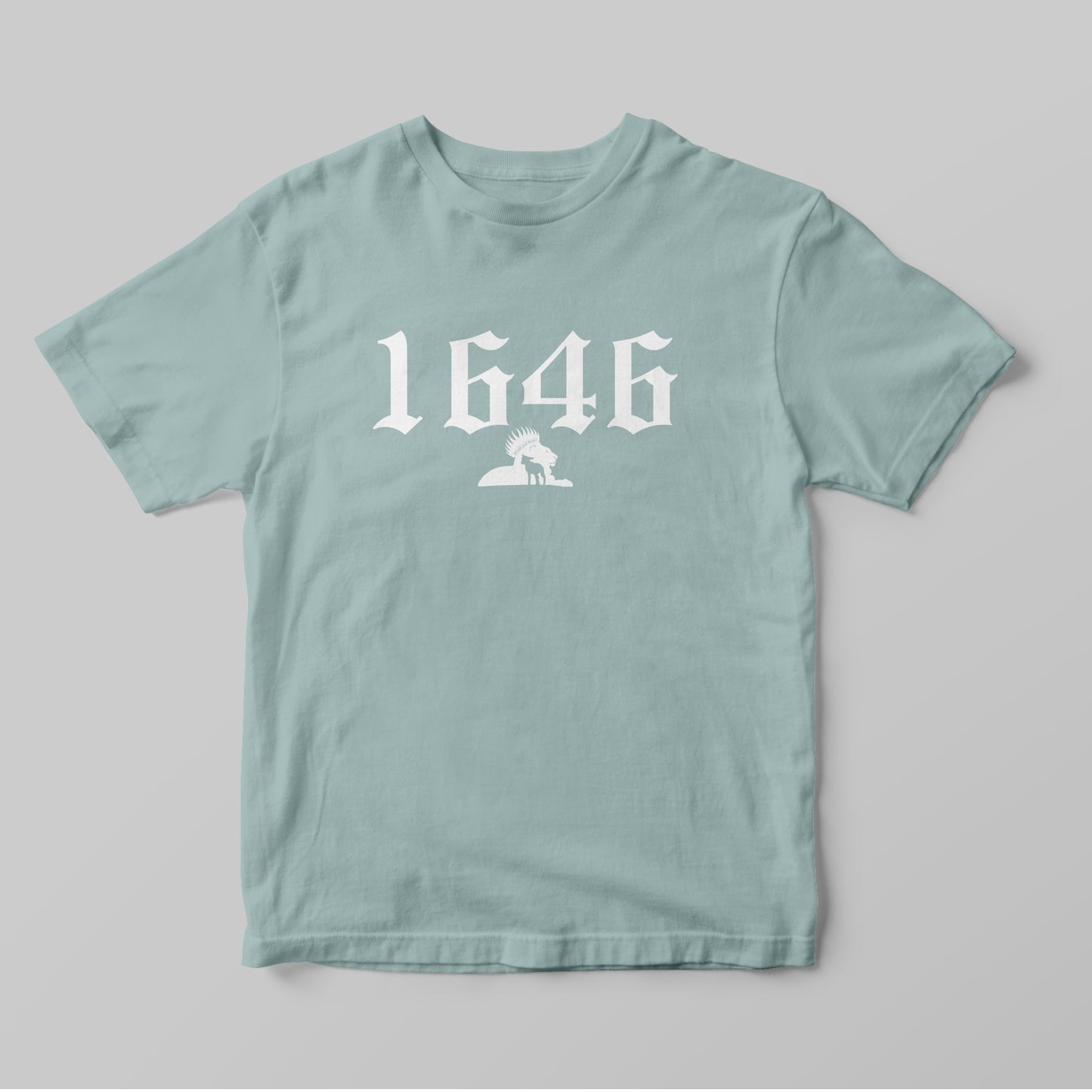 1646 - Women T-Shirt