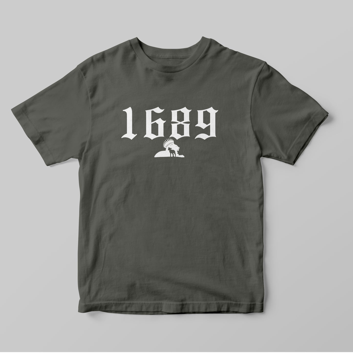 1689 - Women T-Shirt
