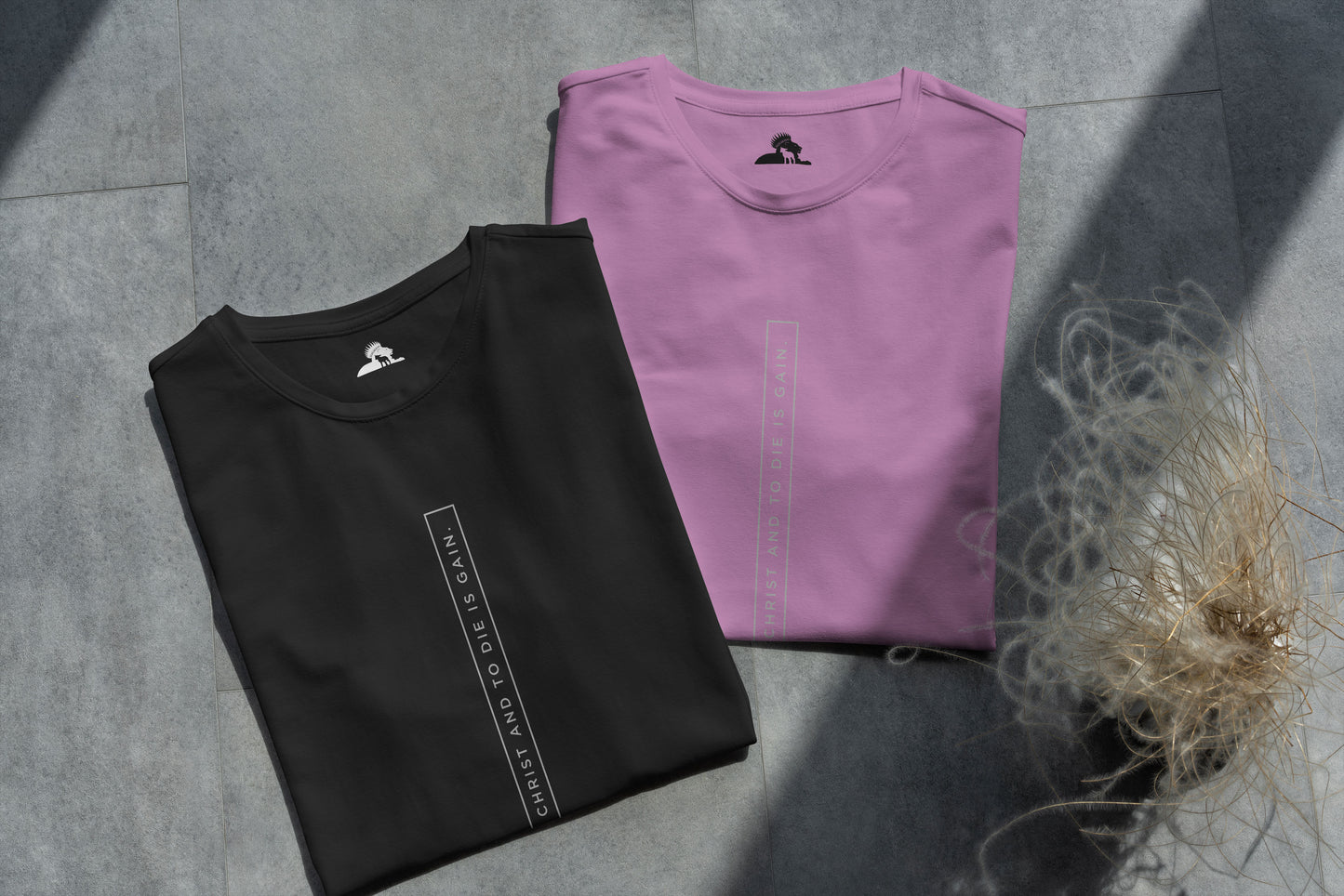 To Live Is Christ - Women T-Shirt